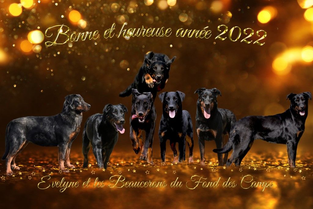 du Fond des Camps - Bonne année 2022 !