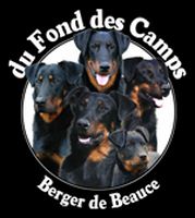 du Fond des Camps - Les derniers bébés 2013 sont partis