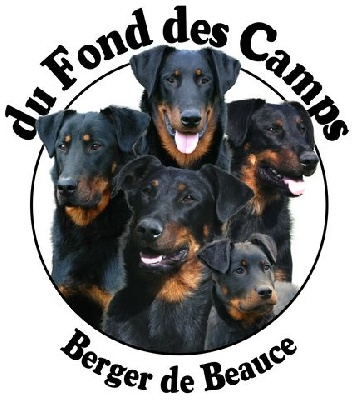 du Fond des Camps - 1e titre de Champion