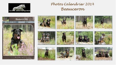 du Fond des Camps - Calendrier Beauceron 2014