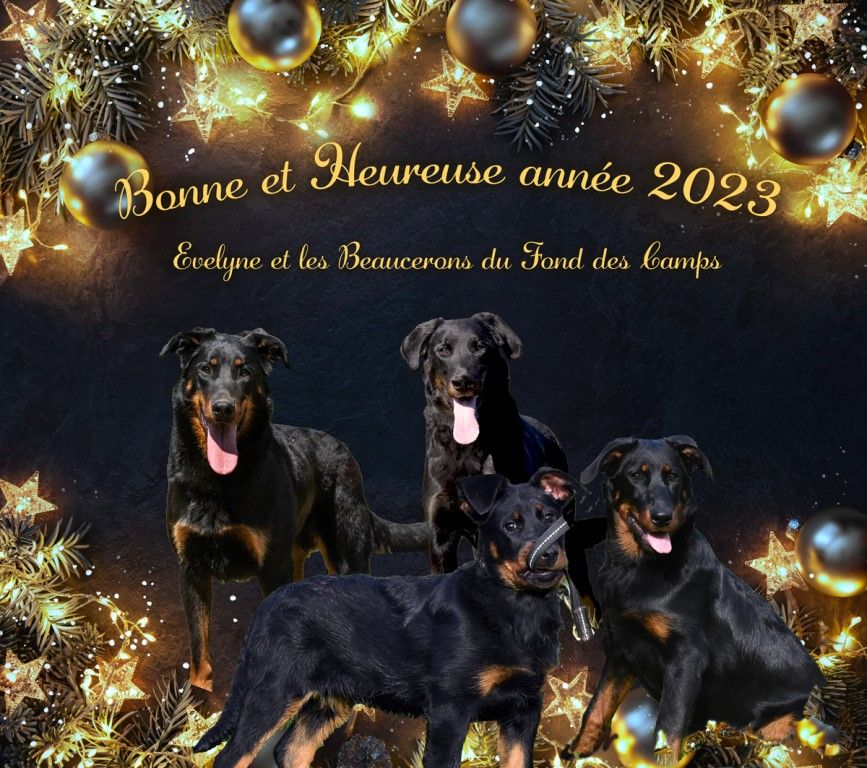 Merveilleuse année 2023