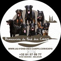 du Fond des Camps - Naissance des chiots de Kokkaï et F'Karma