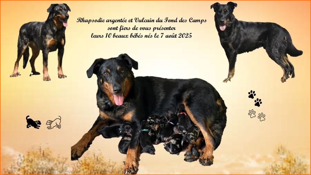 2ème portée 2025