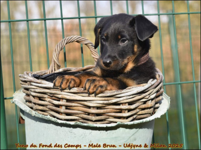 Yuno du Fond des Camps